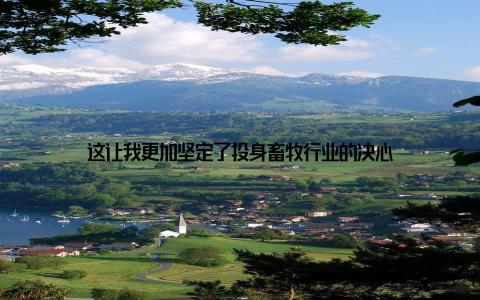 这让我更加坚定了投身畜牧行业的决心