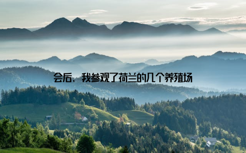 会后, 我参观了荷兰的几个养殖场