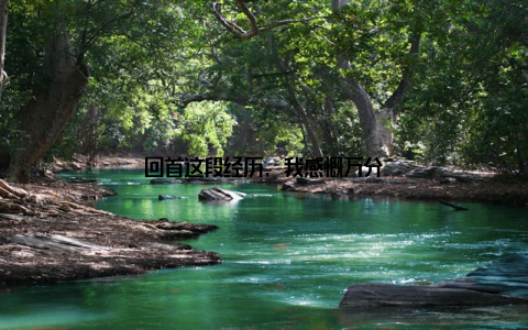 回首这段经历, 我感慨万分