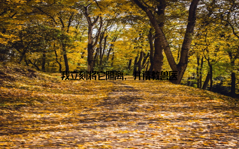 我立刻将它隔离, 并请教兽医