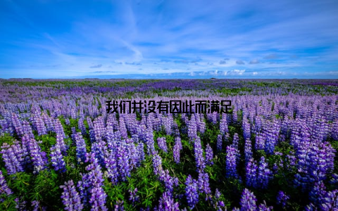 我们并没有因此而满足