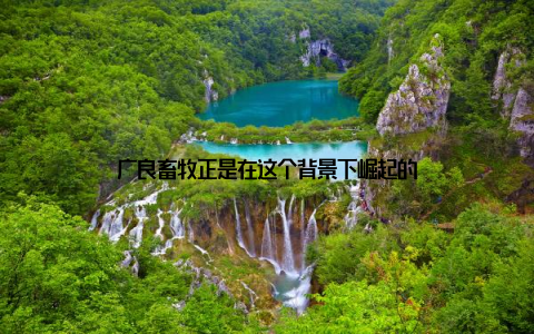 广良畜牧正是在这个背景下崛起的