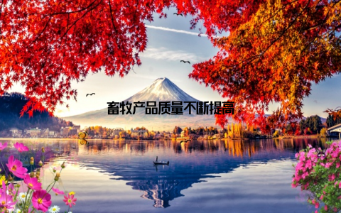 畜牧产品质量不断提高