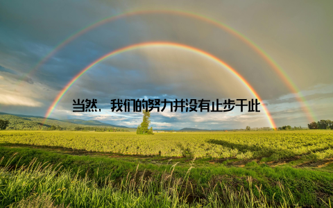 当然, 我们的努力并没有止步于此