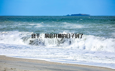 终于, 展会开幕的日子到了