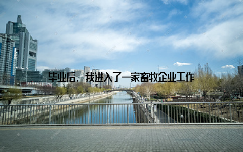 毕业后, 我进入了一家畜牧企业工作