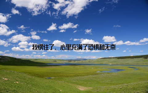 我愣住了, 心里充满了恐惧和无奈