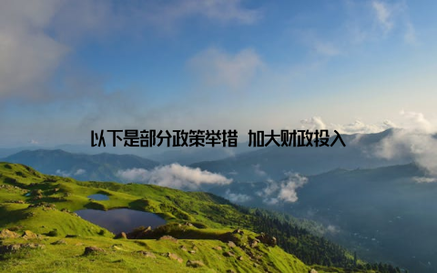 以下是部分政策举措 加大财政投入