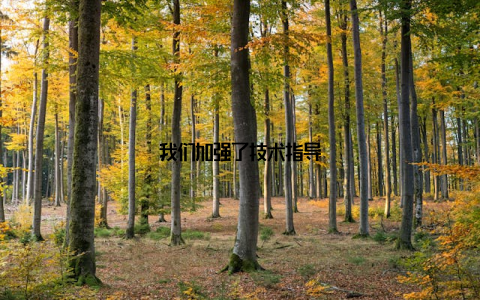 我们加强了技术指导