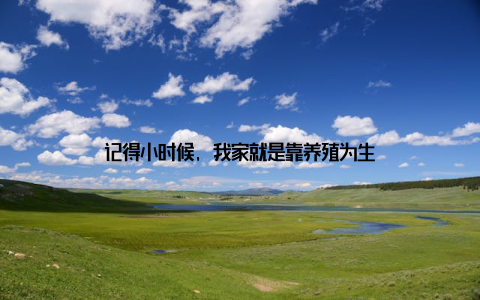 记得小时候, 我家就是靠养殖为生