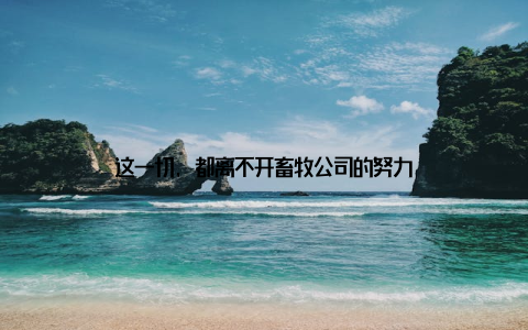 这一切, 都离不开畜牧公司的努力