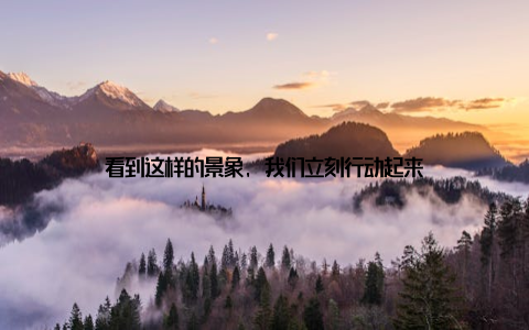 看到这样的景象, 我们立刻行动起来