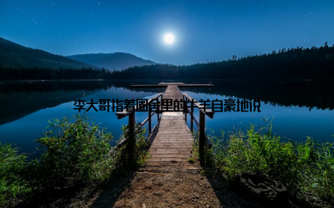 李大哥指着圈舍里的牛羊自豪地说