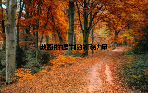 我要说的是学校的师资力量