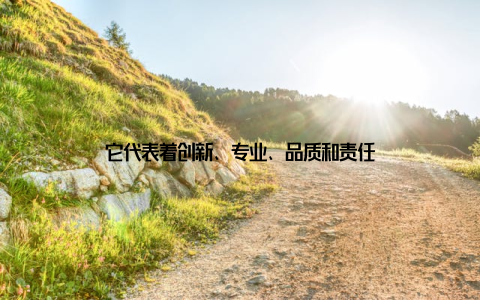 它代表着创新、专业、品质和责任