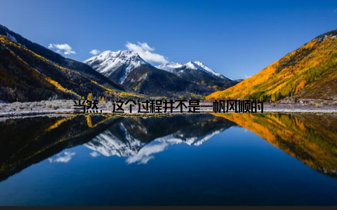 当然, 这个过程并不是一帆风顺的