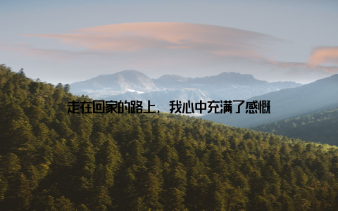 走在回家的路上, 我心中充满了感慨