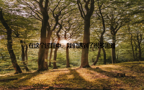 在这个过程中, 我们遇到了很多困难