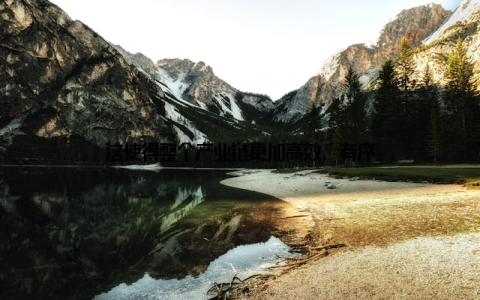 这使得整个产业链更加高效、有序