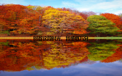 回首这段时光, 我感慨万分