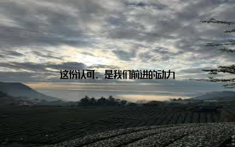 这份认可, 是我们前进的动力