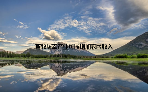 畜牧屠宰产业可以增加农民收入