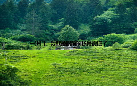 一进门, 我就被眼前的场景震撼了