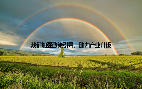 我们加强政策引导, 助力产业升级