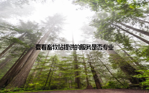 要看畜牧站提供的服务是否专业