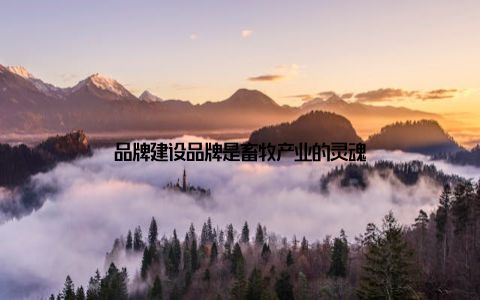 品牌建设品牌是畜牧产业的灵魂