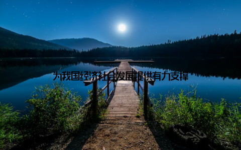 为我国经济社会发展提供有力支撑