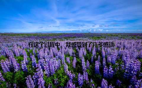 在这个过程中, 我感受到了许多感动