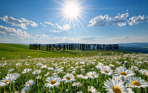 同时, 还为乡村振兴提供了有力支撑