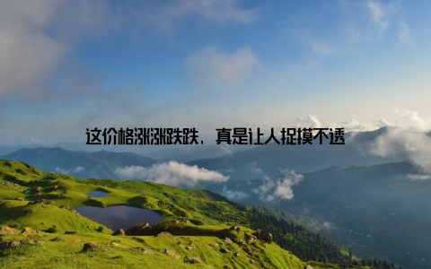 这价格涨涨跌跌, 真是让人捉摸不透