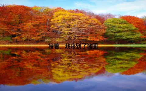 接着, 我来到了猪圈