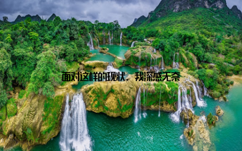 面对这样的现状, 我深感无奈