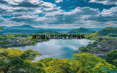 建立健全食品安全追溯体系