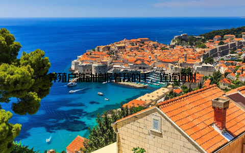 养殖户激动地握着我的手, 连连道谢