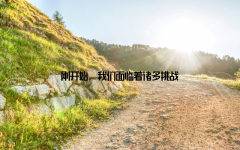 刚开始, 我们面临着诸多挑战