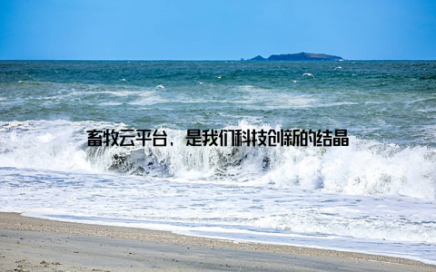 畜牧云平台, 是我们科技创新的结晶